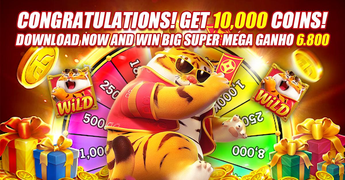 5win cassino entretenimento